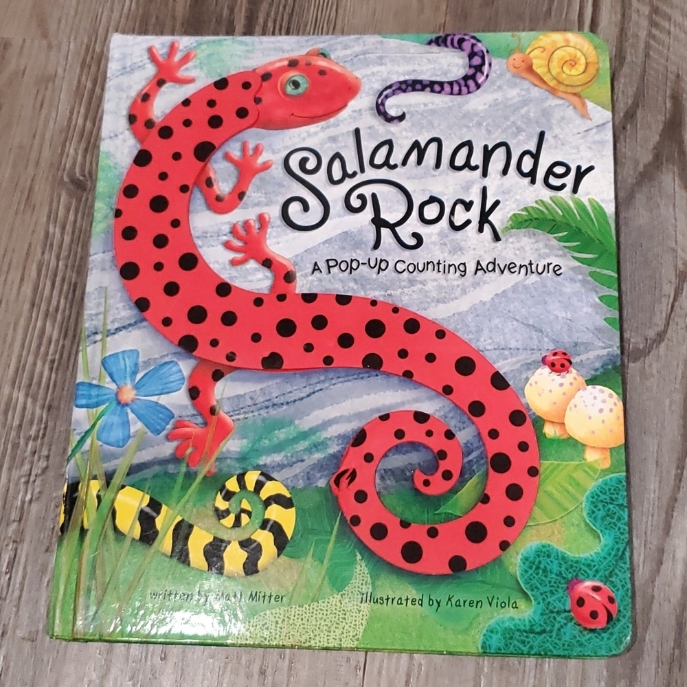 Salamander Rock A Pop-Up Counting Adventure by Matt Mitter
